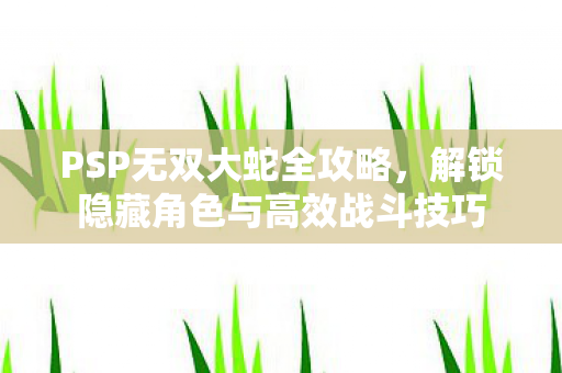 PSP无双大蛇全攻略，解锁隐藏角色与高效战斗技巧