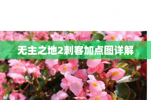 无主之地2刺客加点图详解