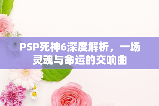 PSP死神6深度解析，一场灵魂与命运的交响曲