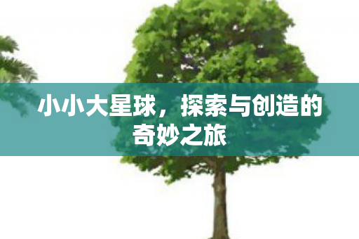 小小大星球，探索与创造的奇妙之旅