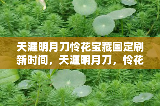 天涯明月刀怜花宝藏固定刷新时间，天涯明月刀，怜花宝藏的传奇故事