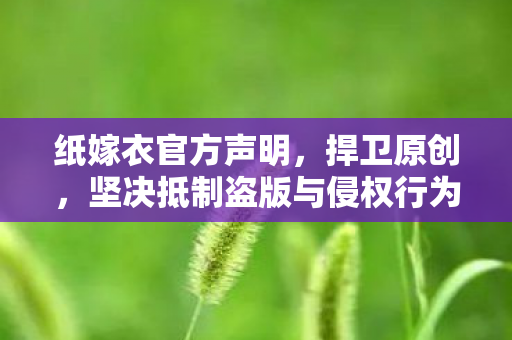 纸嫁衣官方声明,捍卫原创,坚决抵制盗版与侵权行为 纸嫁衣官方声明,捍卫原创,坚决抵制盗版与侵权行为