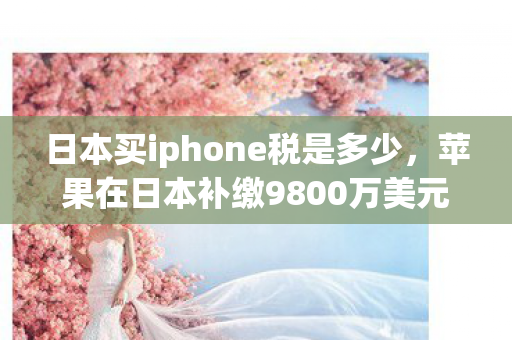 日本买iphone税是多少，苹果在日本补缴9800万美元税，跨国企业的税务挑战与合规之路