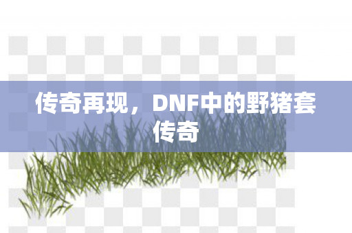 传奇再现，DNF中的野猪套传奇