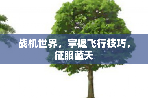 战机世界，掌握飞行技巧，征服蓝天