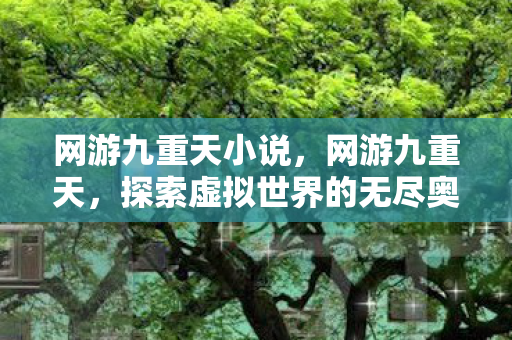 网游九重天小说，网游九重天，探索虚拟世界的无尽奥秘