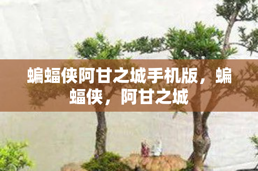蝙蝠侠阿甘之城手机版，蝙蝠侠，阿甘之城
