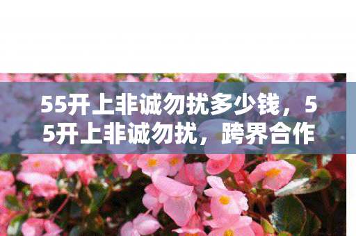 55开上非诚勿扰多少钱,55开上非诚勿扰,跨界合作的新机遇与挑战 55开上非诚勿扰多少钱,55开上非诚勿扰,跨界合作的新机遇与挑战