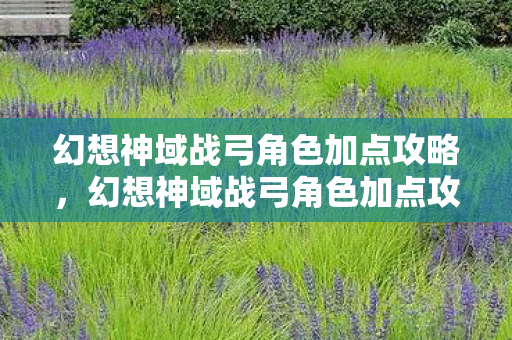 幻想神域战弓角色加点攻略，幻想神域战弓角色加点攻略，打造无敌射手的秘诀