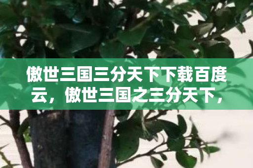 傲世三国三分天下下载百度云,傲世三国之三分天下,重温经典策略游戏的魅力 傲世三国三分天下下载百度云,傲世三国之三分天下,重温经典策略游戏的魅力