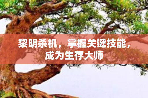 黎明杀机，掌握关键技能，成为生存大师
