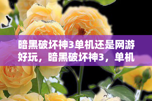 暗黑破坏神3单机还是网游好玩,暗黑破坏神3,单机与网游的双重体验 暗黑破坏神3单机还是网游好玩,暗黑破坏神3,单机与网游的双重体验