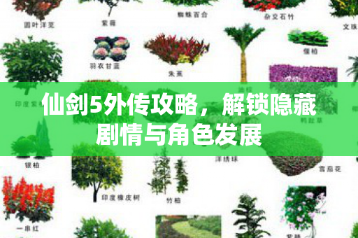 仙剑5外传攻略，解锁隐藏剧情与角色发展