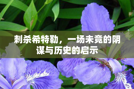 刺杀希特勒，一场未竟的阴谋与历史的启示