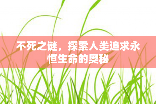 不死之谜，探索人类追求永恒生命的奥秘