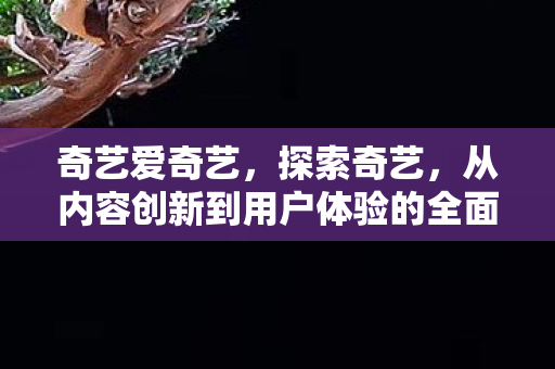 从内容创新到用户体验的全面升级图片