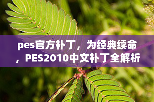 pes官方补丁，为经典续命，PES2010中文补丁全解析