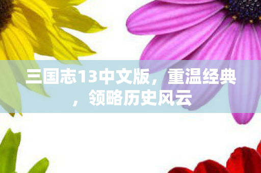 三国志13中文版，重温经典，领略历史风云