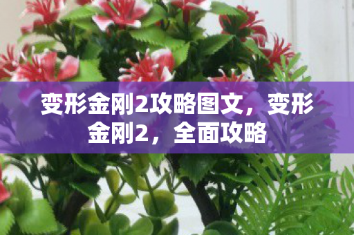 变形金刚2攻略图文,变形金刚2,全面攻略 变形金刚2攻略图文,变形金刚2,全面攻略