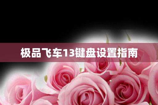 极品飞车13键盘设置指南