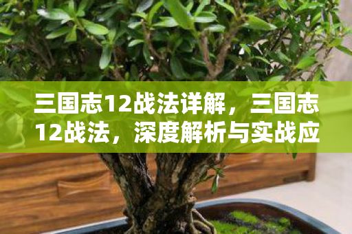 三国志12战法详解，三国志12战法，深度解析与实战应用