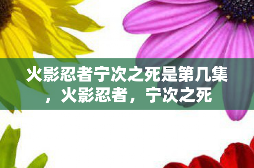 火影忍者宁次之死是第几集，火影忍者，宁次之死