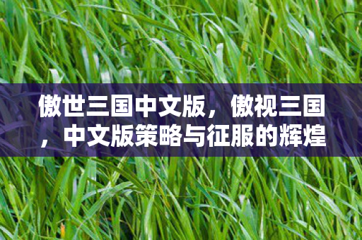傲世三国中文版,傲视三国,中文版策略与征服的辉煌篇章 傲世三国中文版,傲视三国,中文版策略与征服的辉煌篇章