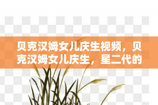 贝克汉姆女儿庆生视频，贝克汉姆女儿庆生，星二代的光环与成长之路