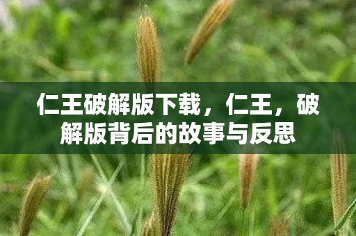 仁王破解版下载，仁王，破解版背后的故事与反思