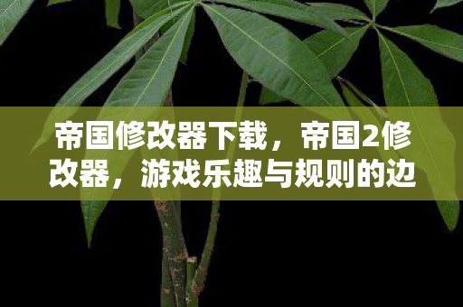 帝国修改器下载，帝国2修改器，游戏乐趣与规则的边界