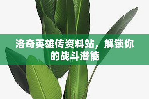 洛奇英雄传资料站,解锁你的战斗潜能 洛奇英雄传资料站,解锁你的战斗潜能