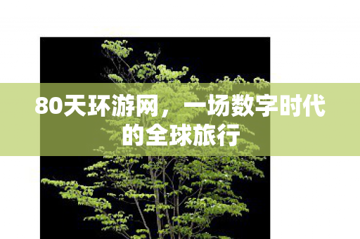 80天环游网，一场数字时代的全球旅行