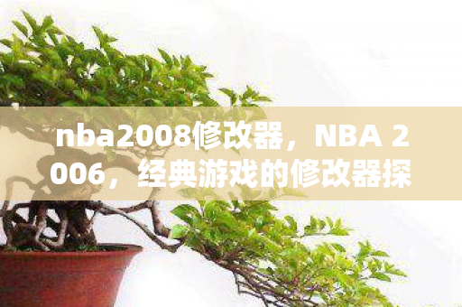nba2008修改器，NBA 2006，经典游戏的修改器探索与应用