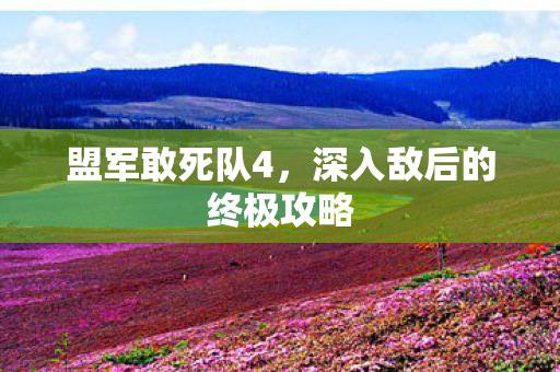深入敌后的终极攻略图片