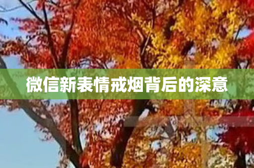 微信新表情戒烟背后的深意