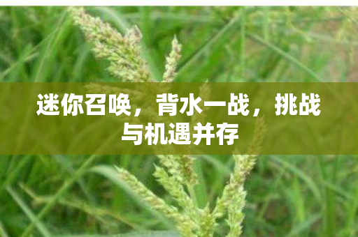 迷你召唤，背水一战，挑战与机遇并存