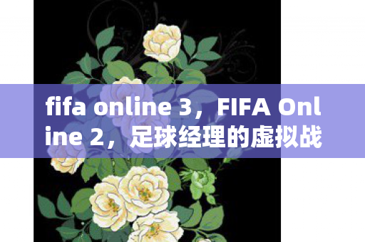 fifa online 3，FIFA Online 2，足球经理的虚拟战场