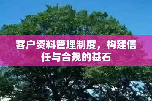 客户资料管理制度,构建信任与合规的基石 客户资料管理制度,构建信任与合规的基石