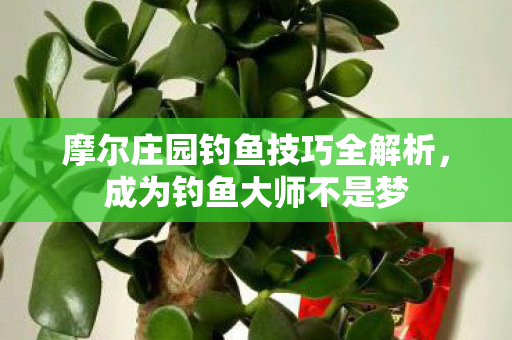摩尔庄园钓鱼技巧全解析，成为钓鱼大师不是梦