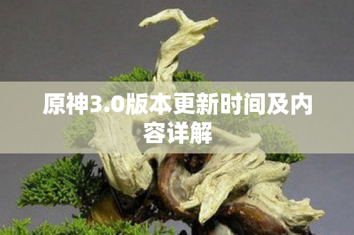0版本更新时间及内容详解图片
