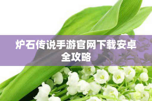 炉石传说手游官网下载安卓全攻略图片