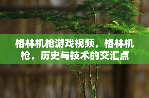 格林机枪游戏视频，格林机枪，历史与技术的交汇点