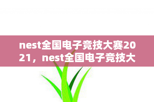 nest全国电子竞技大赛2021，nest全国电子竞技大赛，电竞盛宴的崛起与未来展望