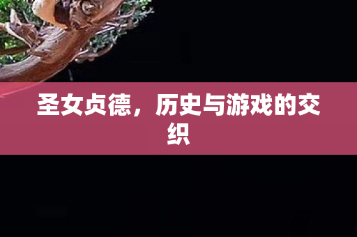 圣女贞德，历史与游戏的交织