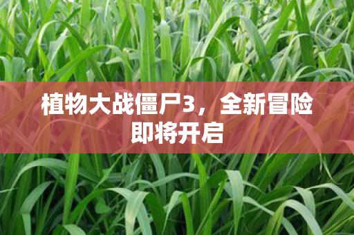 植物大战僵尸3，全新冒险即将开启