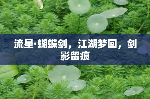 流星·蝴蝶剑，江湖梦回，剑影留痕