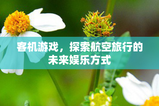 客机游戏，探索航空旅行的未来娱乐方式