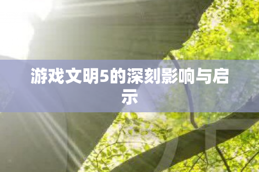 游戏文明5的深刻影响与启示图片
