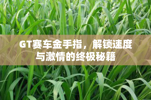 GT赛车金手指，解锁速度与激情的终极秘籍