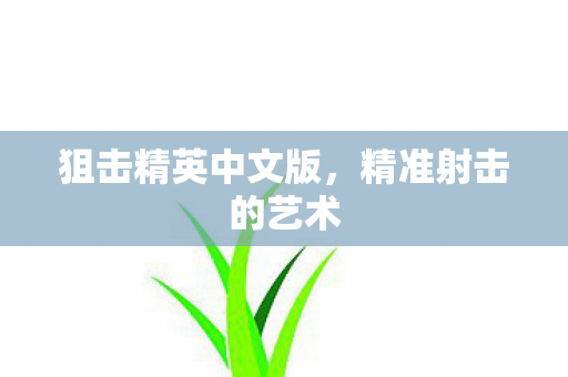 狙击精英中文版，精准射击的艺术